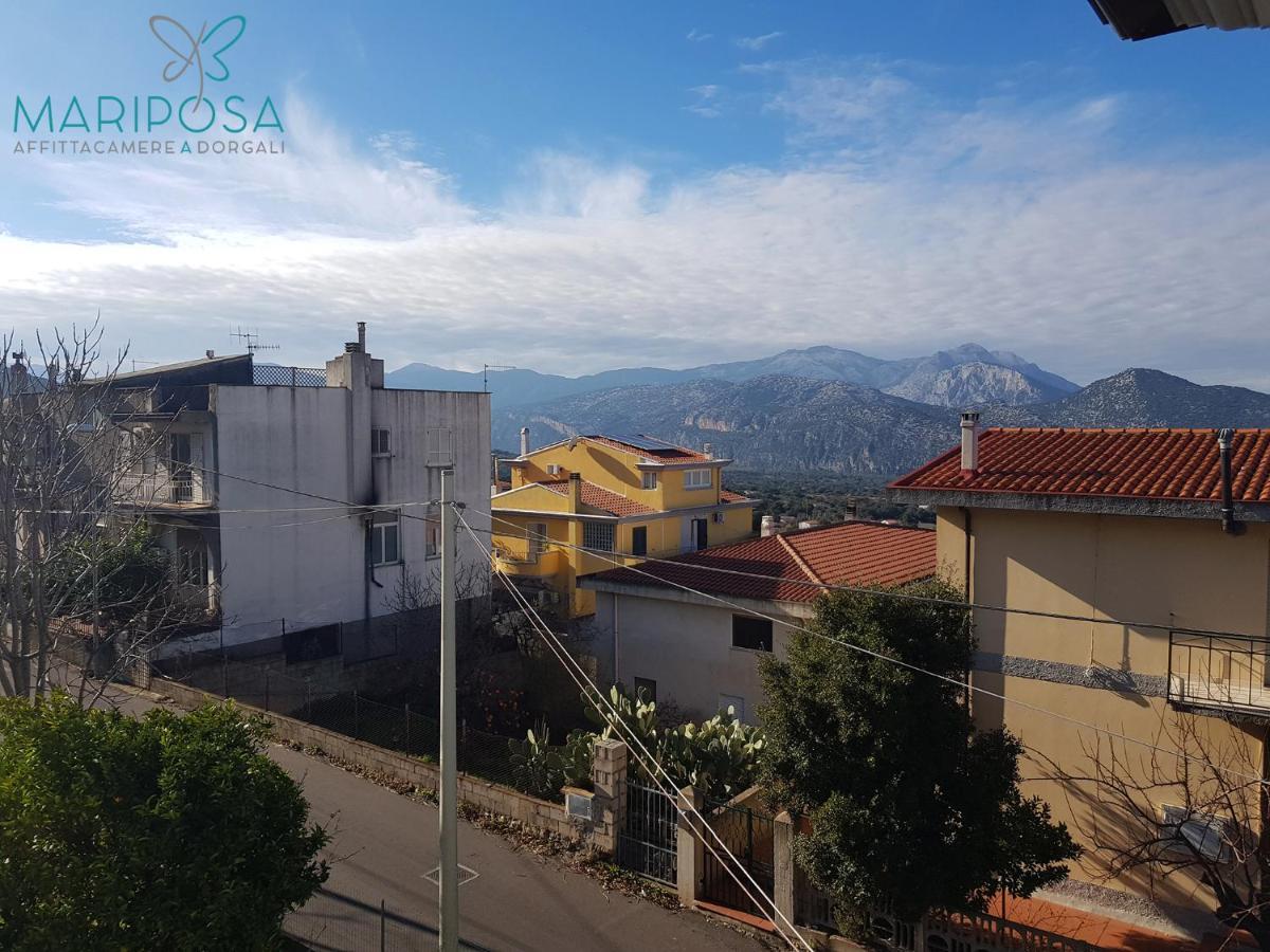 Affittacamere Mariposa Dorgali Exterior foto